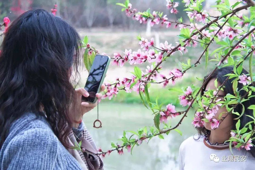 春意浓！翔安这个地方的桃花正盛，一大波美图来了……