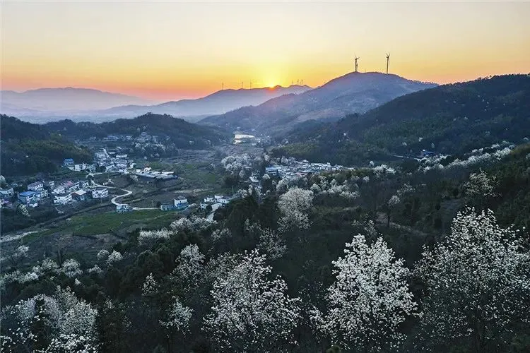 又是一年赏花季，这份安庆赏花攻略请收好！