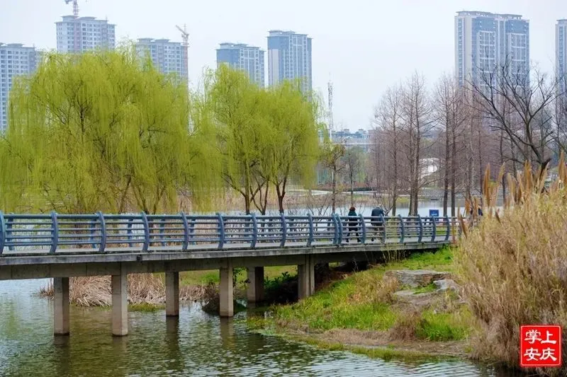 又是一年赏花季，这份安庆赏花攻略请收好！