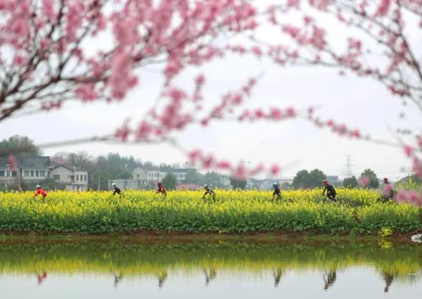 骑行春天里