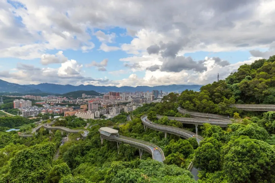 这个东南沿海的低调省会城市，多少人后悔错过？