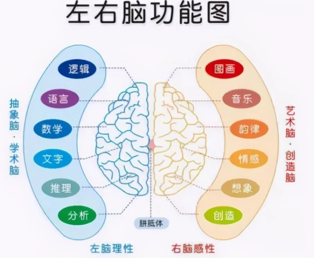 心理学家最新发现：高智商儿童并不是靠遗传，都有这3大共同点