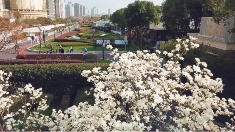 大波美图来袭！跟着小布一起开启滨江骑行“甜蜜寻花之旅”