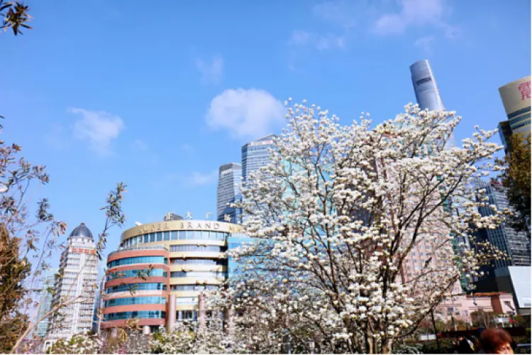 大波美图来袭！跟着小布一起开启滨江骑行“甜蜜寻花之旅”