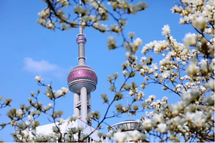 大波美图来袭！跟着小布一起开启滨江骑行“甜蜜寻花之旅”