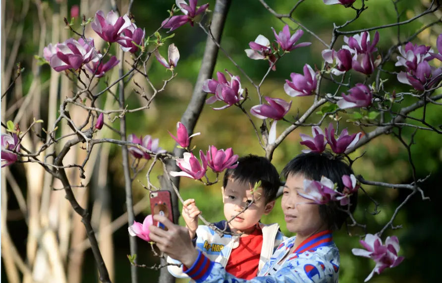 超美！广州这片“秘境花海”霸屏！