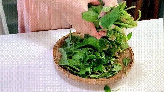 炒蒜蓉菠菜注意这几点，记住不要和豆腐搭配，在家做出饭店的味道