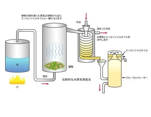 麦哲伦是怎么解决环球航行中的淡水问题的？