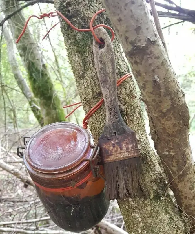 网络有多恐怖？不管你问什么，万能的网友都能为你解答，简直太牛了！