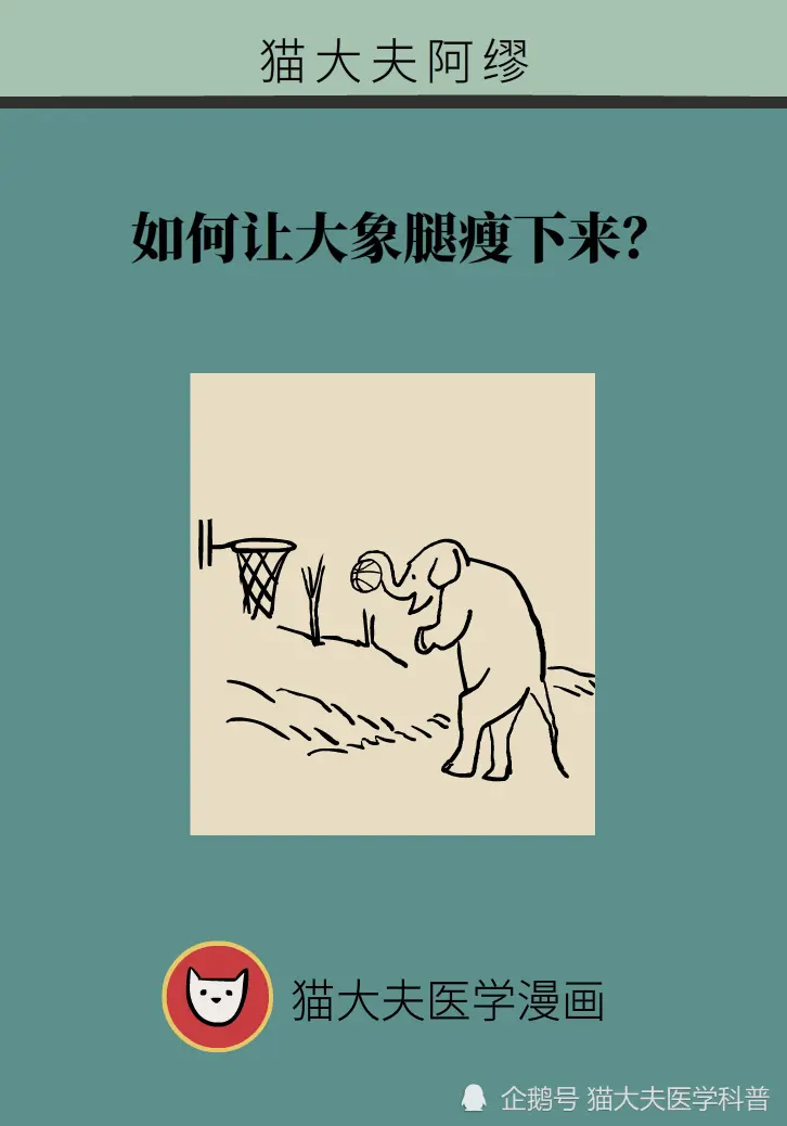 如何让大象腿瘦下来？