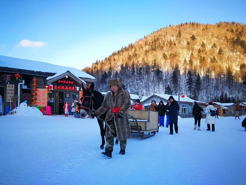 “明码标价”的雪乡，当地人哭诉：说了不宰客，为何依旧空空无人