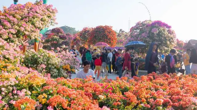 好消息：粤龙山恢复原价，进园即可免费体验游乐园内的两项大型游戏项目