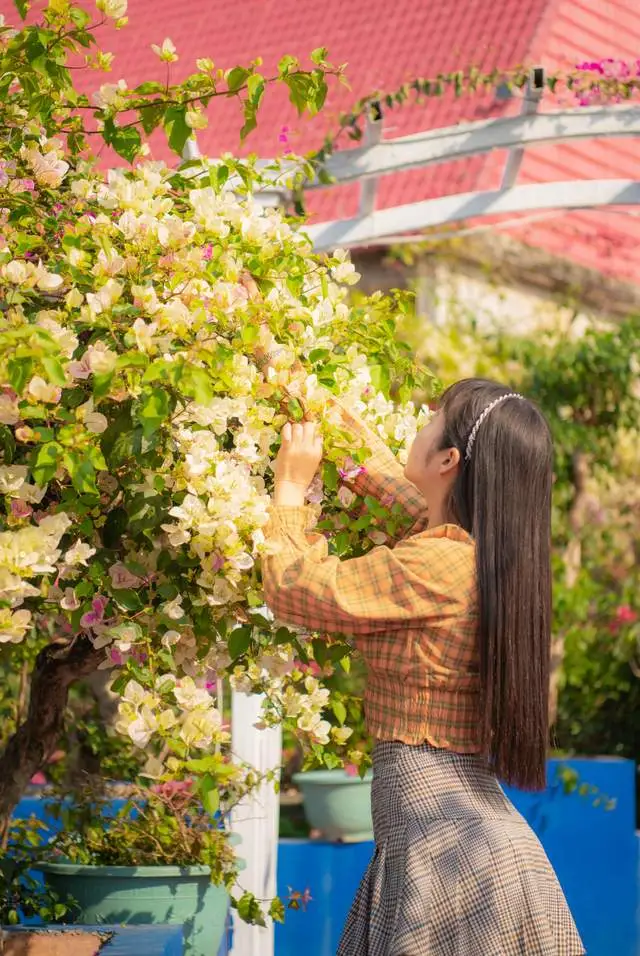 好消息：粤龙山恢复原价，进园即可免费体验游乐园内的两项大型游戏项目