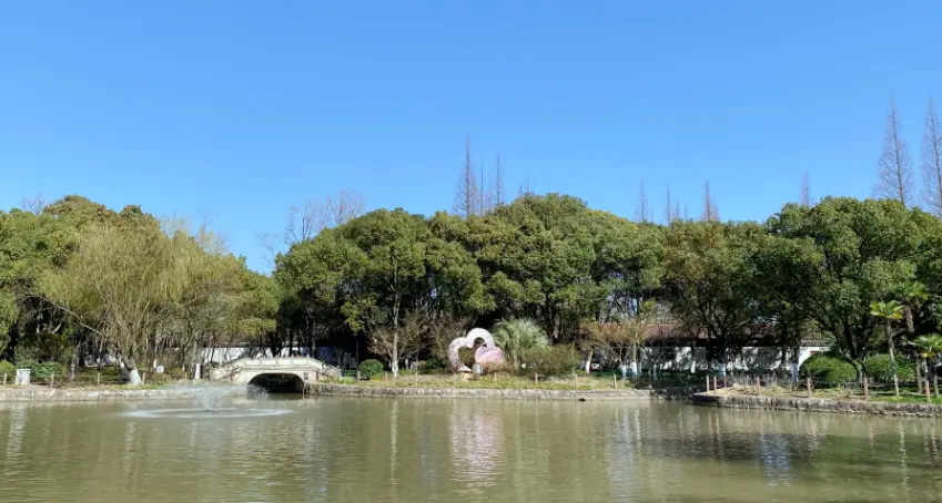 初春漫步，赏景拍照，微风暖阳，悠闲惬意！这些地方，是你不曾体验过的崇明！