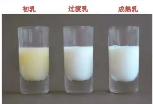 母乳是“活”的？把母乳在显微镜下放大1000倍是啥样？长见识