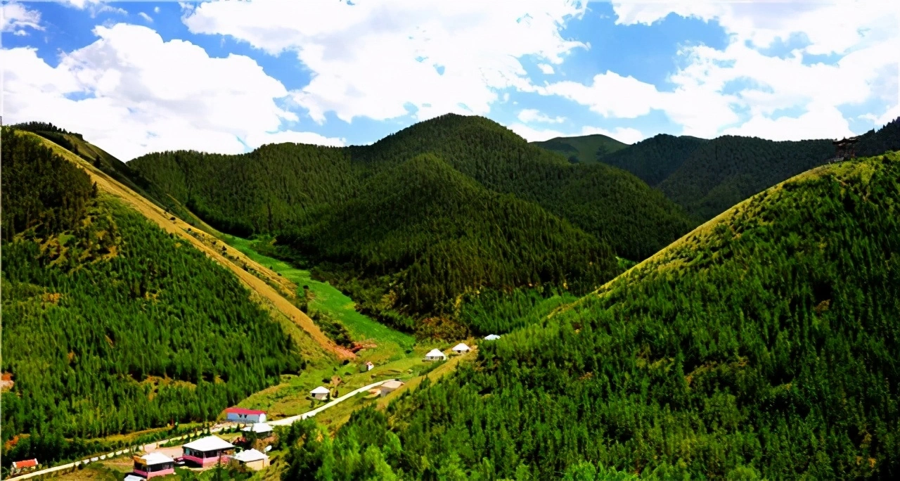 这里是黄河文明的发祥地，这里是腾格里沙漠南缘的沙漠绿岛