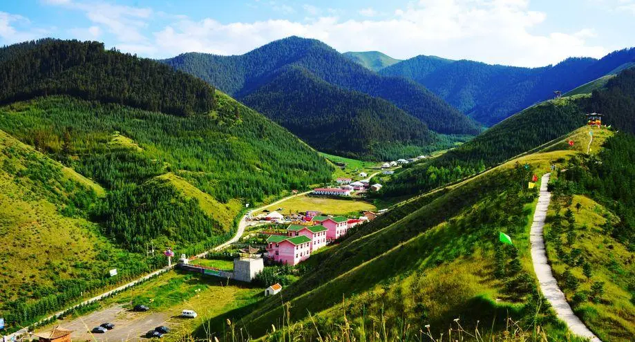 这里是黄河文明的发祥地，这里是腾格里沙漠南缘的沙漠绿岛