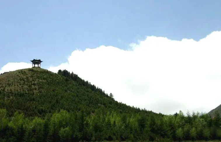 这里是黄河文明的发祥地，这里是腾格里沙漠南缘的沙漠绿岛