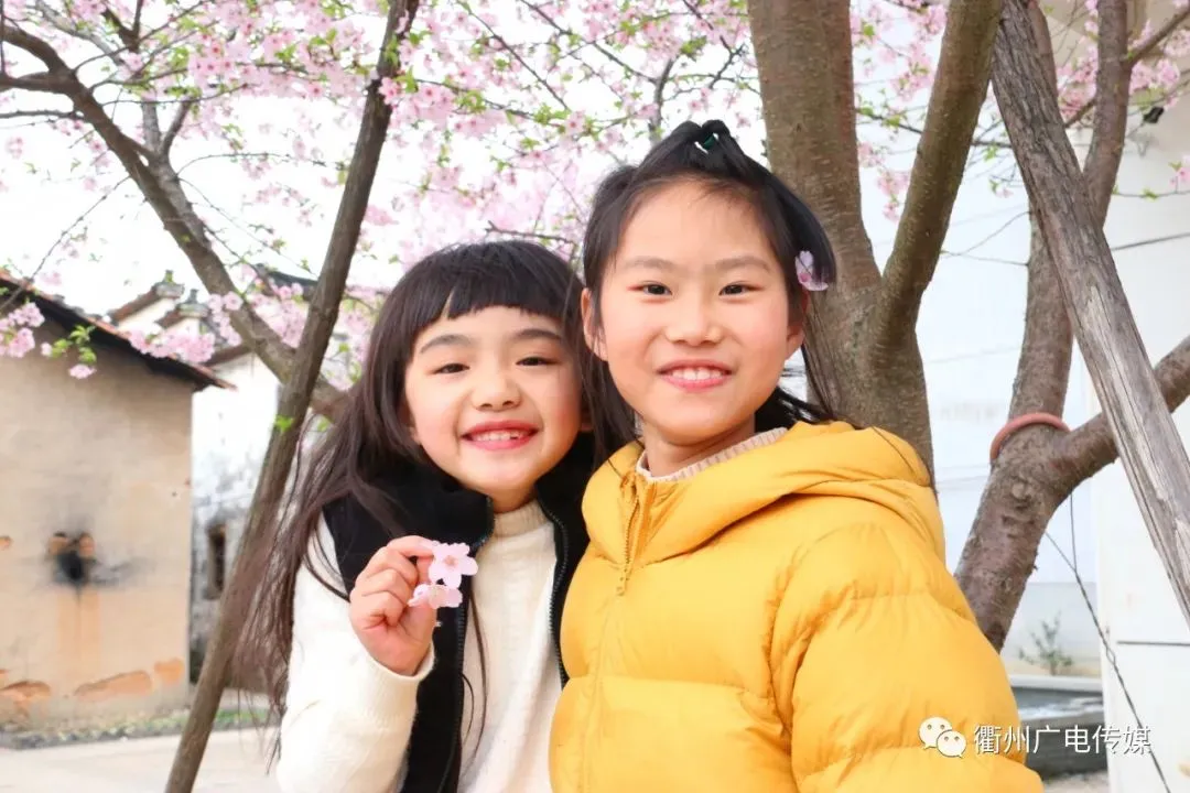 叮咚～您有一份衢城賞櫻攻略待查收