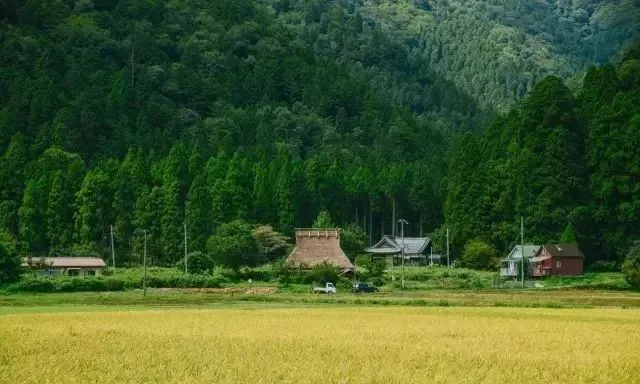 日本农村为什么美而不土？