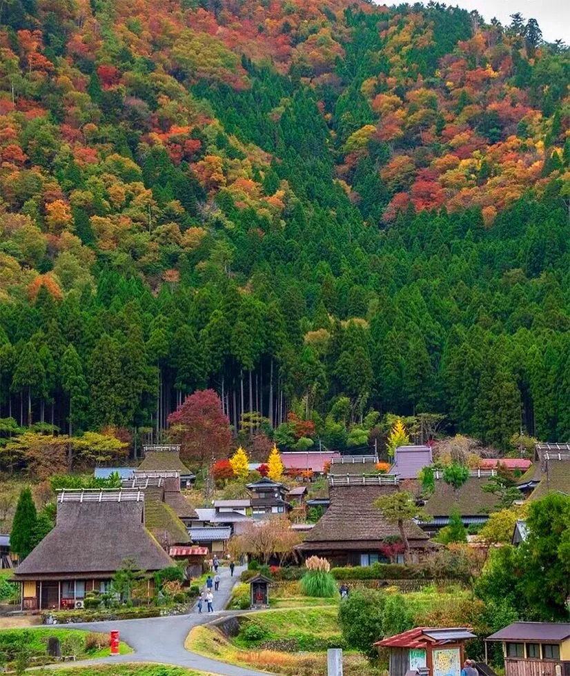 日本农村为什么美而不土？