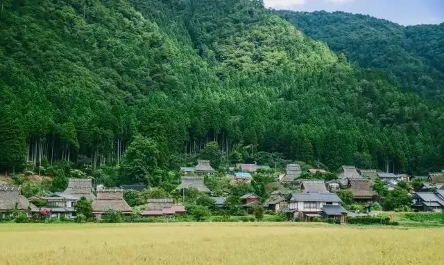 日本农村为什么美而不土？