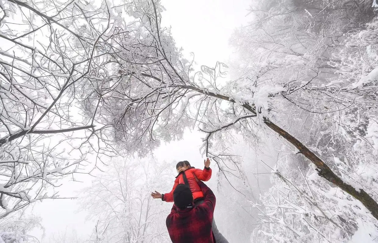 雪后秦岭终南山，雾凇缀满树梢，一幅美丽的水墨画卷