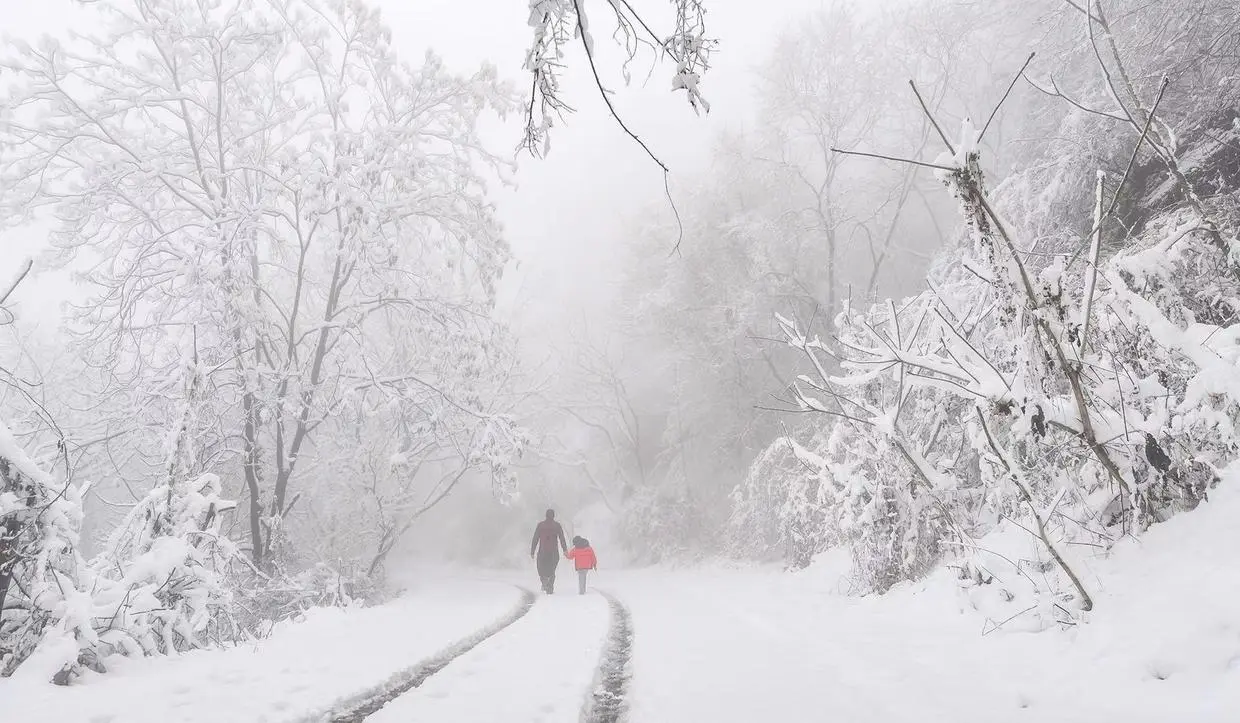 雪后秦岭终南山，雾凇缀满树梢，一幅美丽的水墨画卷