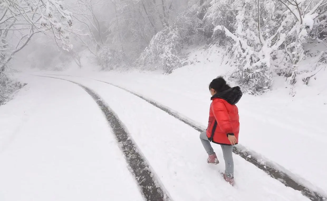 雪后秦岭终南山，雾凇缀满树梢，一幅美丽的水墨画卷