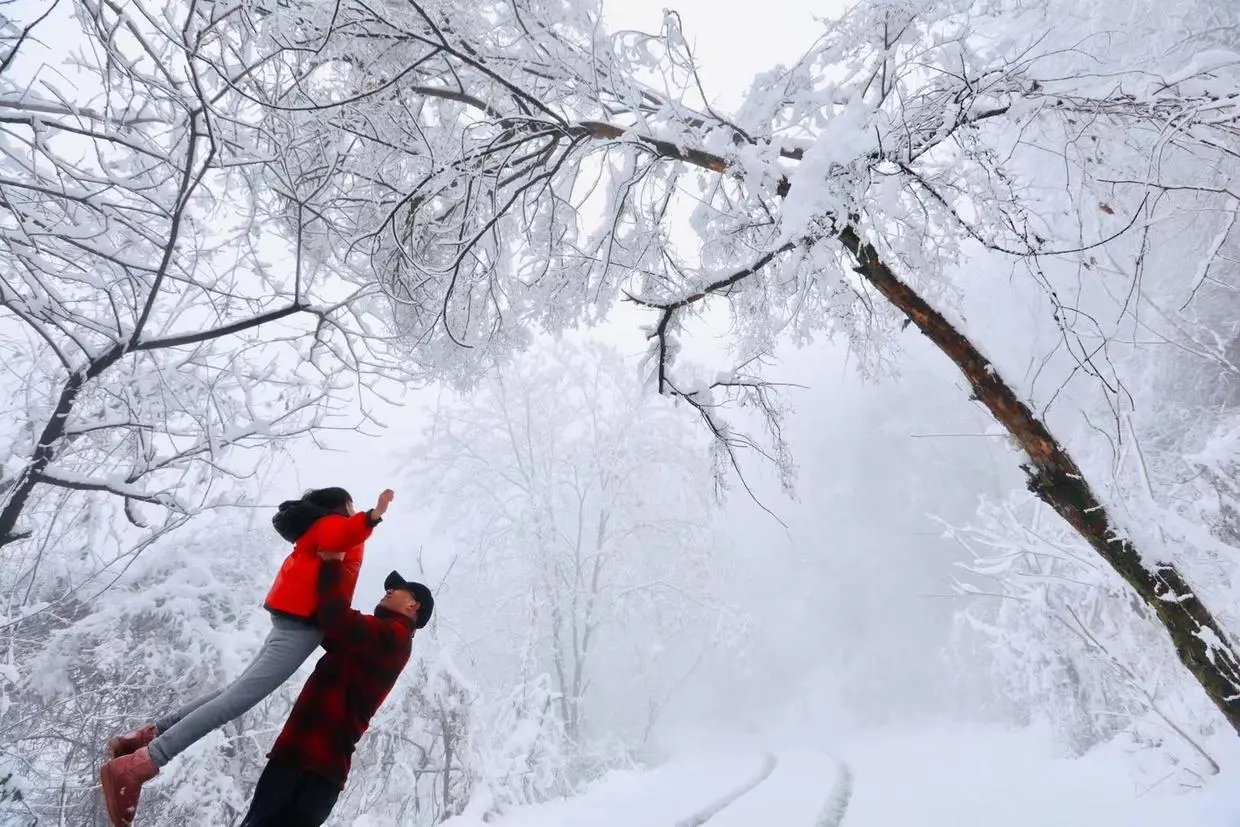 雪后秦岭终南山，雾凇缀满树梢，一幅美丽的水墨画卷