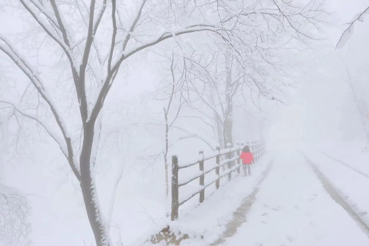 雪后秦岭终南山，雾凇缀满树梢，一幅美丽的水墨画卷