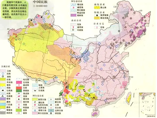 迁入中国成立的新民族，武力失败后大举移居中国，现有千万人口