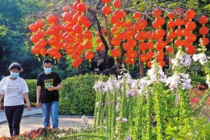 二月，用镜头带你闻遍宝安的花香！