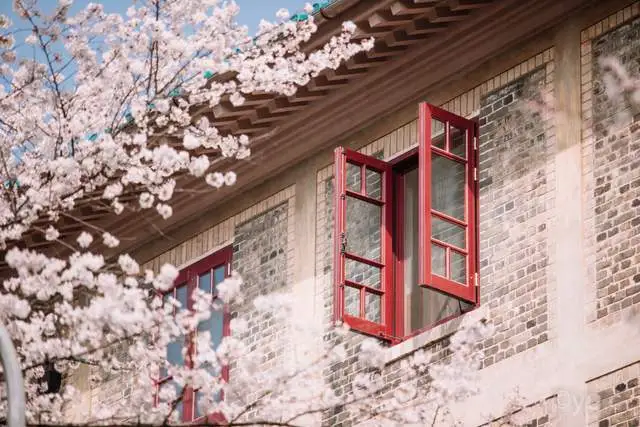 看樱花不必赴日本，中国5大赏樱胜地，春天花海绚烂，你去过几个？