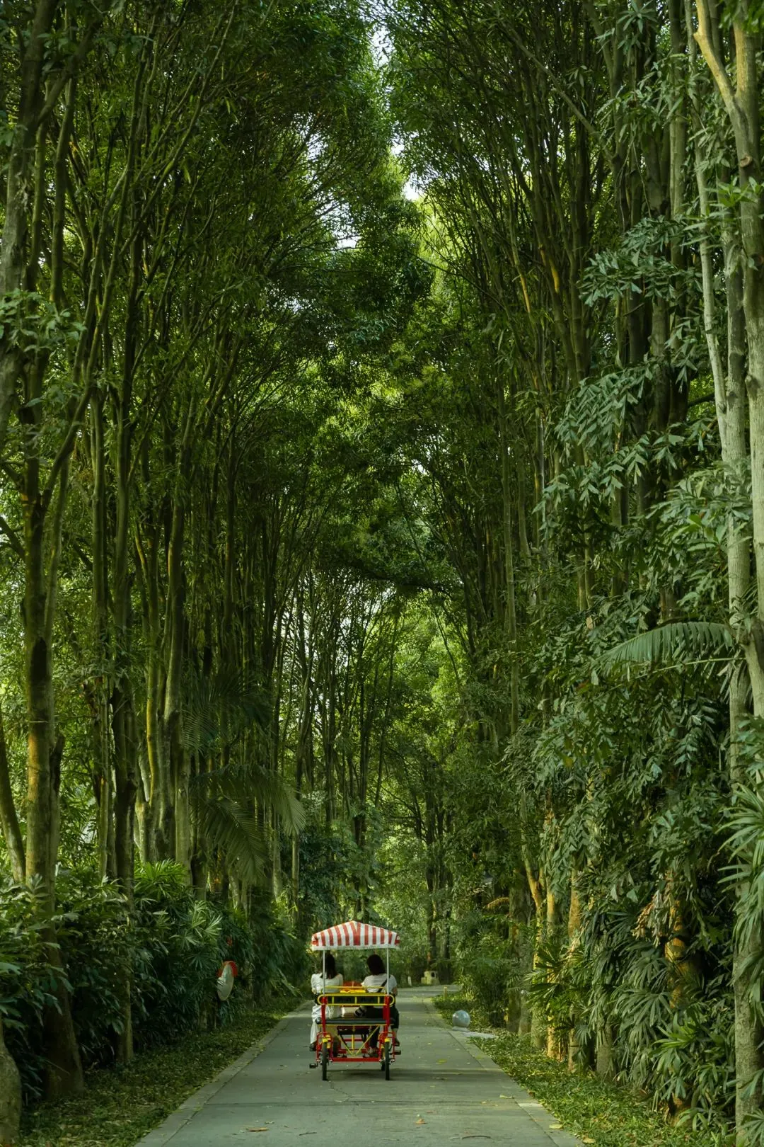 广州最值得去的春游圣地，每一处都是壁纸级好看