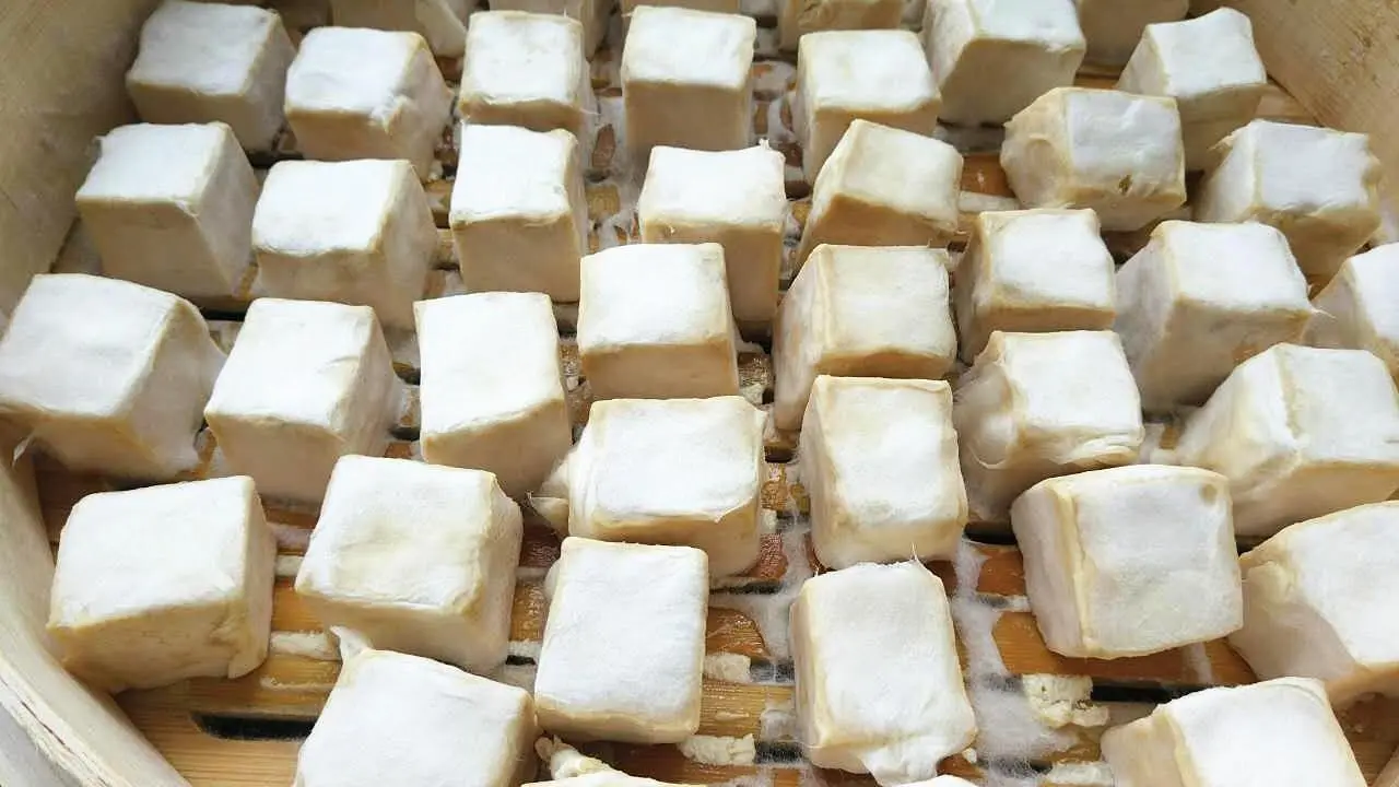 中国有名的“四大豆腐乳”，你吃过几种？王致和遗憾未上榜