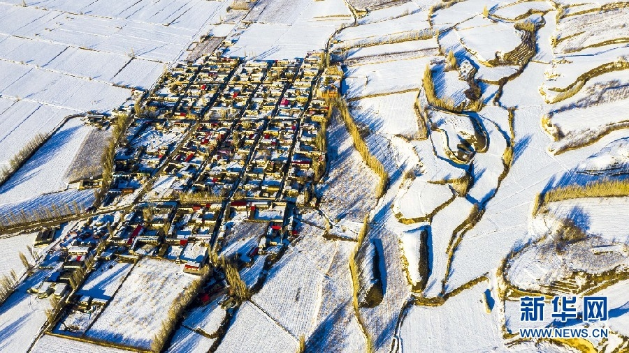 邂逅霍城：看冰雪中的“中国薰衣草之乡”