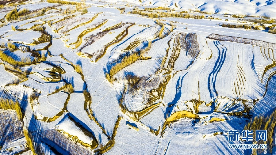 邂逅霍城：看冰雪中的“中国薰衣草之乡”