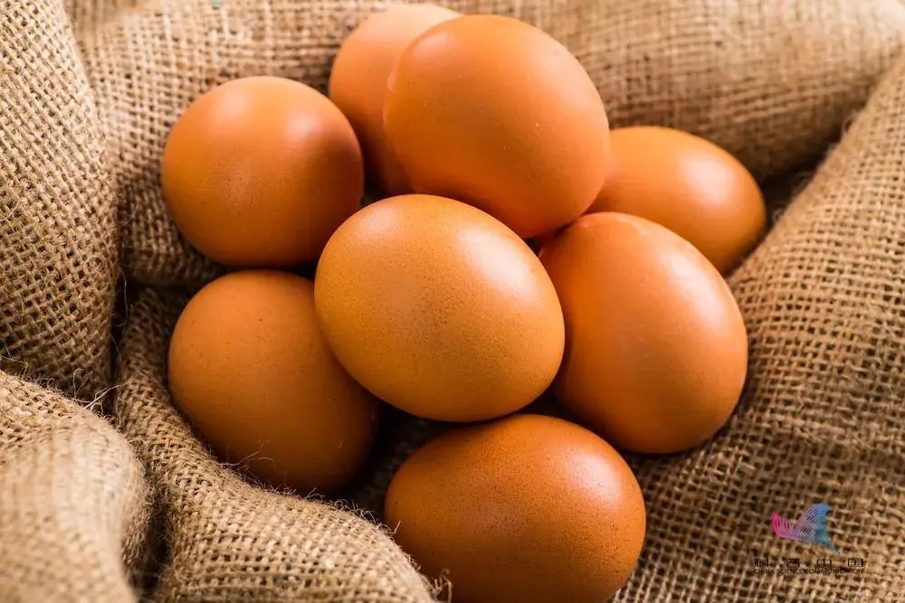 经常吃皮蛋会铅中毒？和鸡蛋、鸭蛋相比哪个更有营养？真相来了