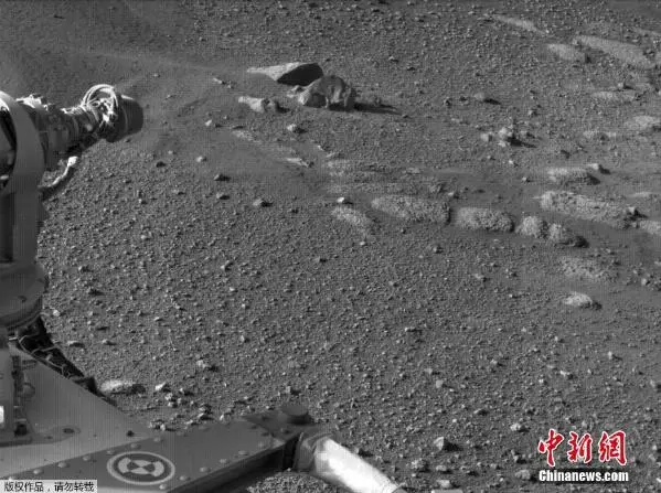 美国家航天局发布“毅力号”传回火星照