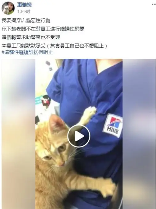 请问今天点哪只猫技师为你服务？我全都要！