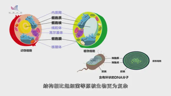 基因故事动画：子承父业获诺奖 “基因业务”能遗传？