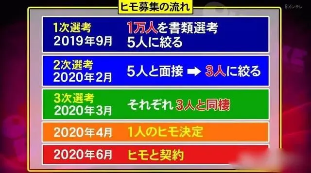 日本25岁富婆公开征集软饭男，条件苛刻，爱吃肉和米饭都不行？