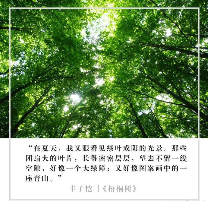 来看看作家笔下的夏天是什么样子