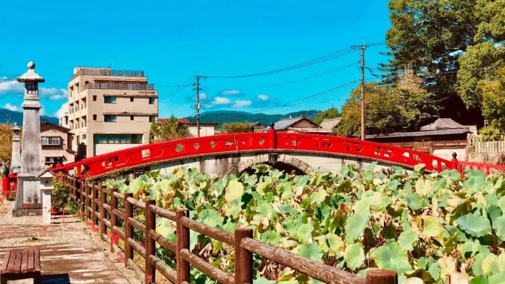 吃货痛心！洪水冲走日本鳗鱼店百年酱汁！