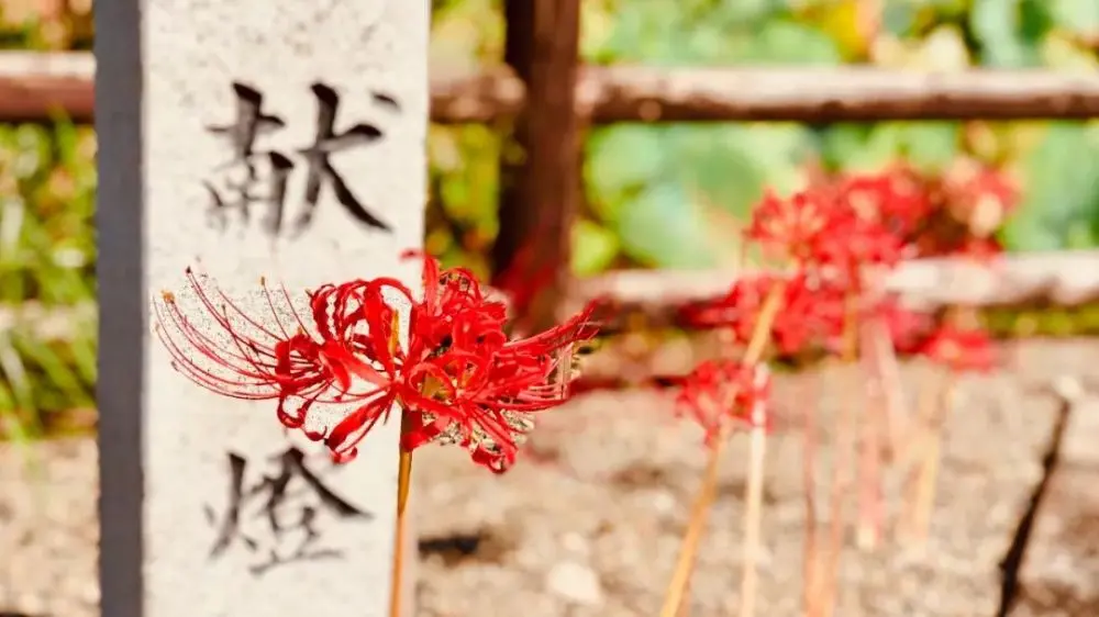 吃货痛心！洪水冲走日本鳗鱼店百年酱汁！