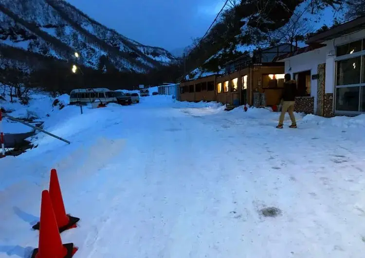 到北海道的罗臼港，看罕见的毛腿渔鸮