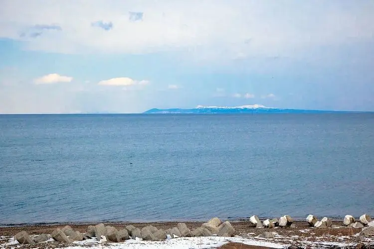 到北海道的罗臼港，看罕见的毛腿渔鸮