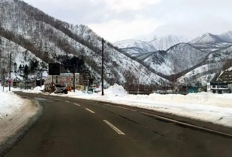 到北海道的罗臼港，看罕见的毛腿渔鸮