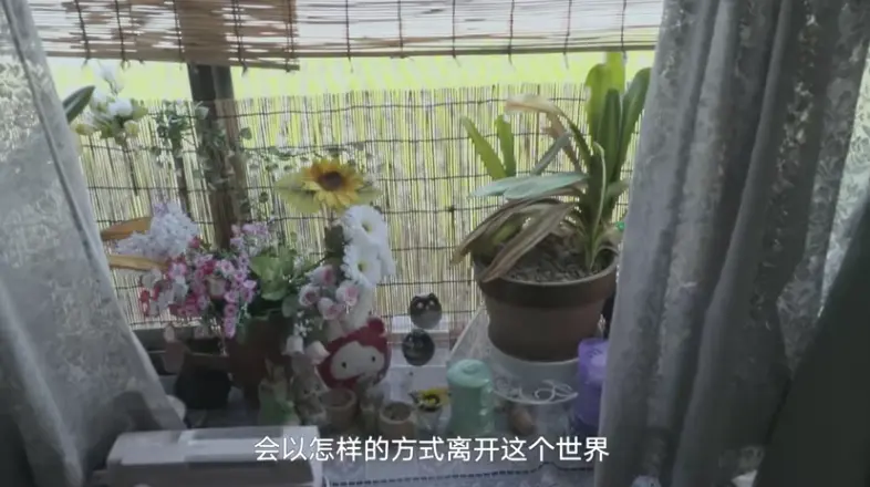 关于“孤独死”的故事，每一帧都是泪点